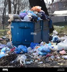 Best Recycling Services for Junk  in Iona, FL